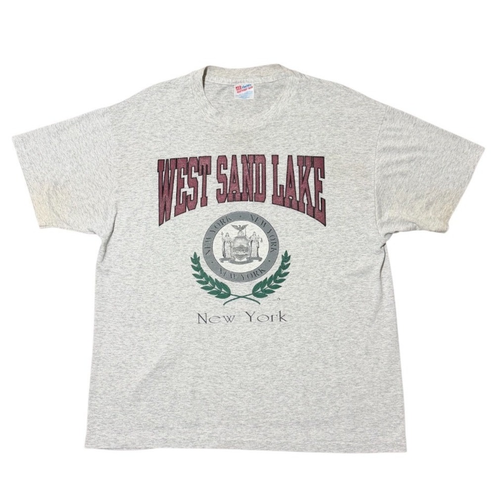 Vintage Hanes West Sand Lake New York Graphic T-Shirt Gray Mens XL Single Stitch